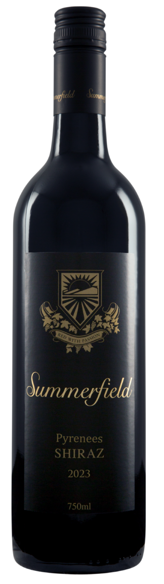 Shiraz 2023